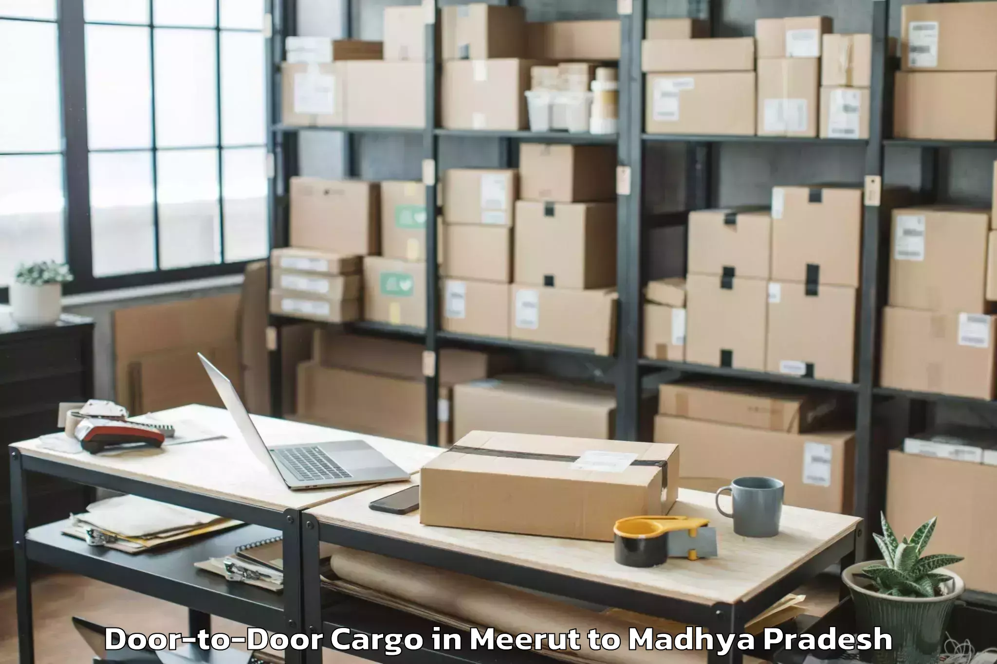 Meerut to Sendhwa Door To Door Cargo Booking